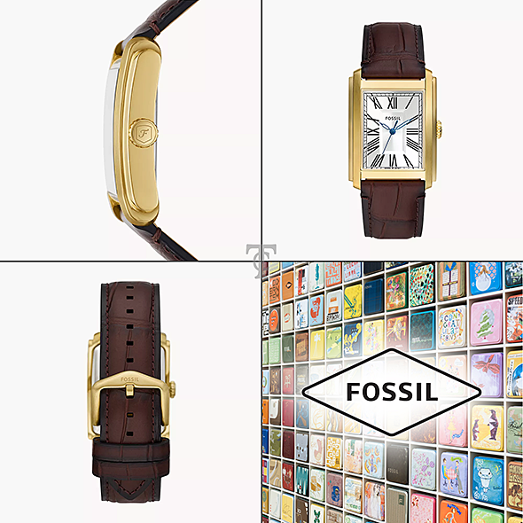 FOSSIL FS6011 portré kép