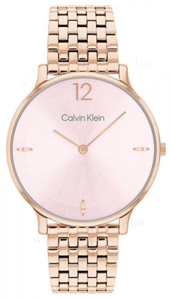 Calvin Klein CK25100170 karóra